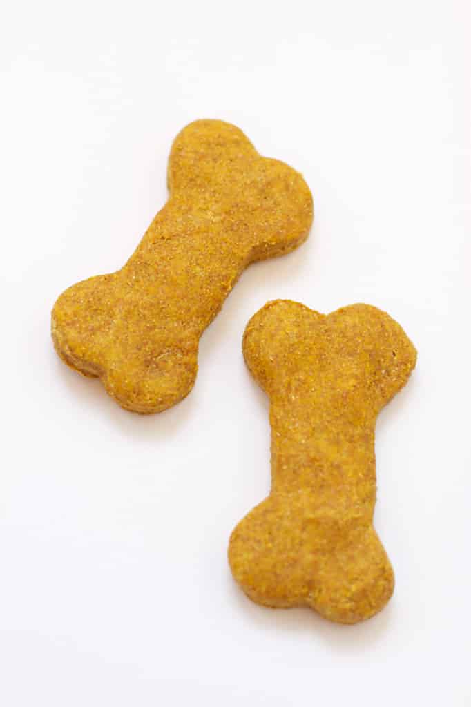 Healthy-Pumpkin-Dog-Treats-18