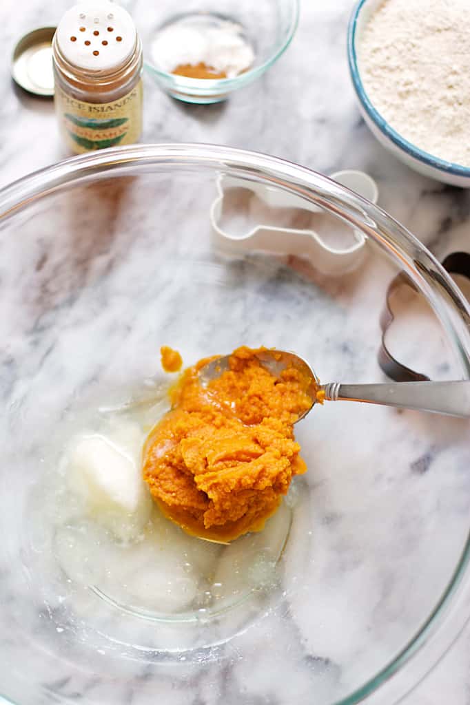 Healthy-Pumpkin-Dog-Treats-2
