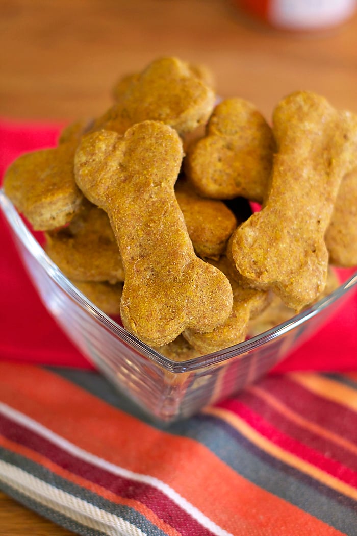 canned pumpkin dog treats