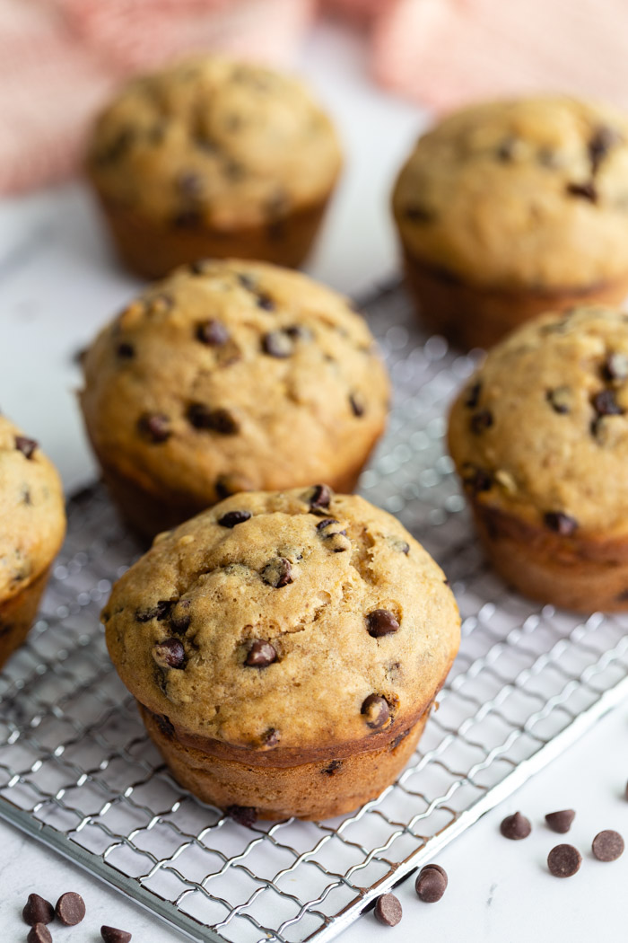 Chocolate Chip Vegan Muffins ONE BOWL!