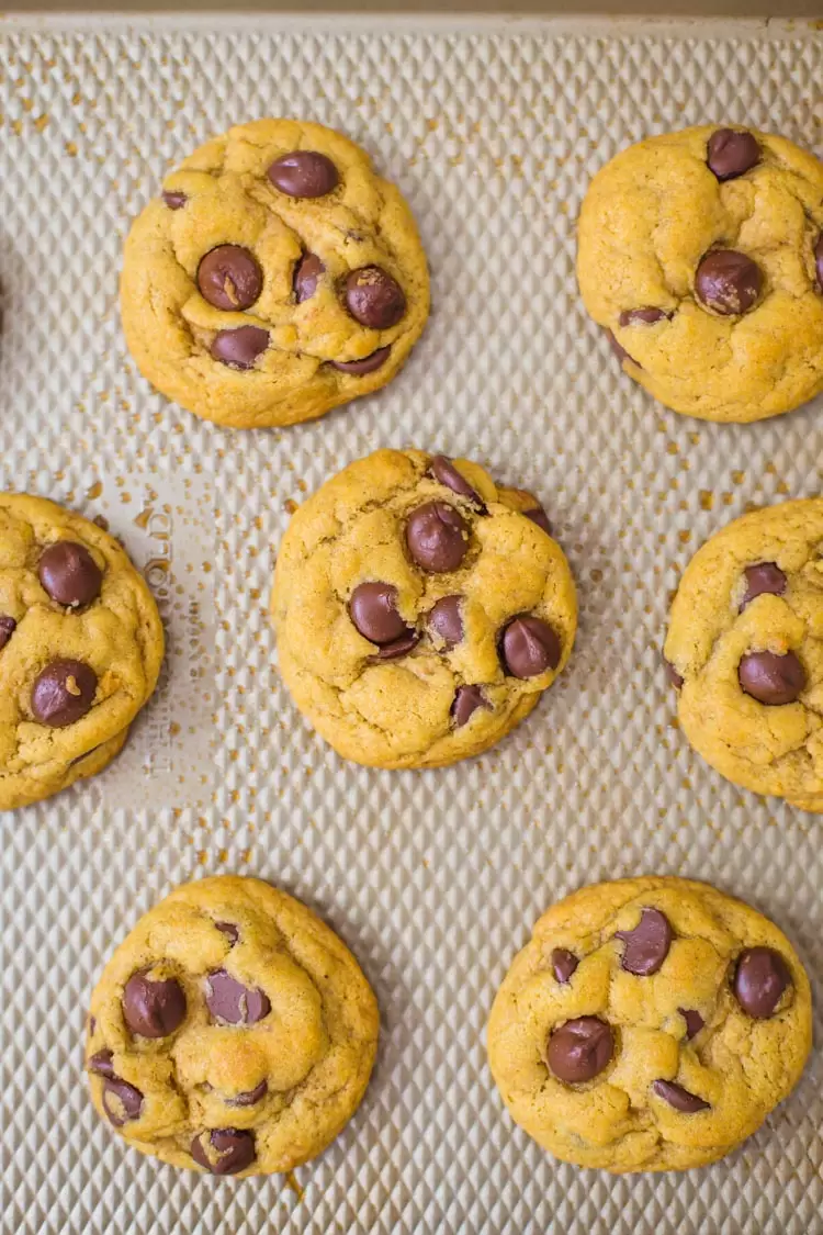 https://foodwithfeeling.com/wp-content/uploads/2017/11/pumpkin-chocolate-chip-cookies-22.jpg.webp