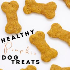 Healthy Pumpkin Dog Treats-image