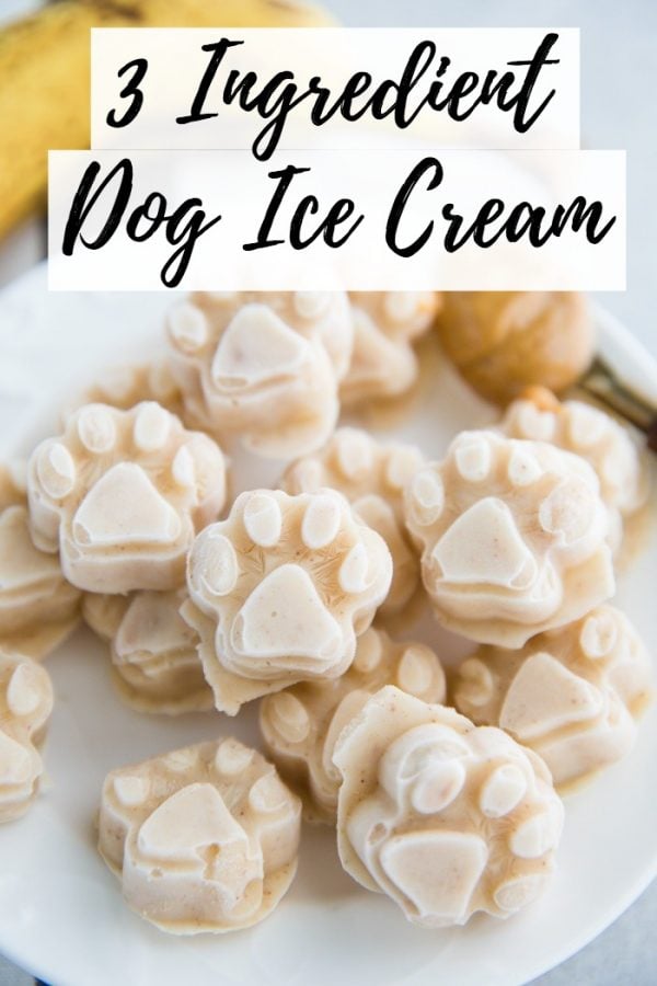 3 Ingredient Dog Ice Cream: a frosty paws copy cat recipe