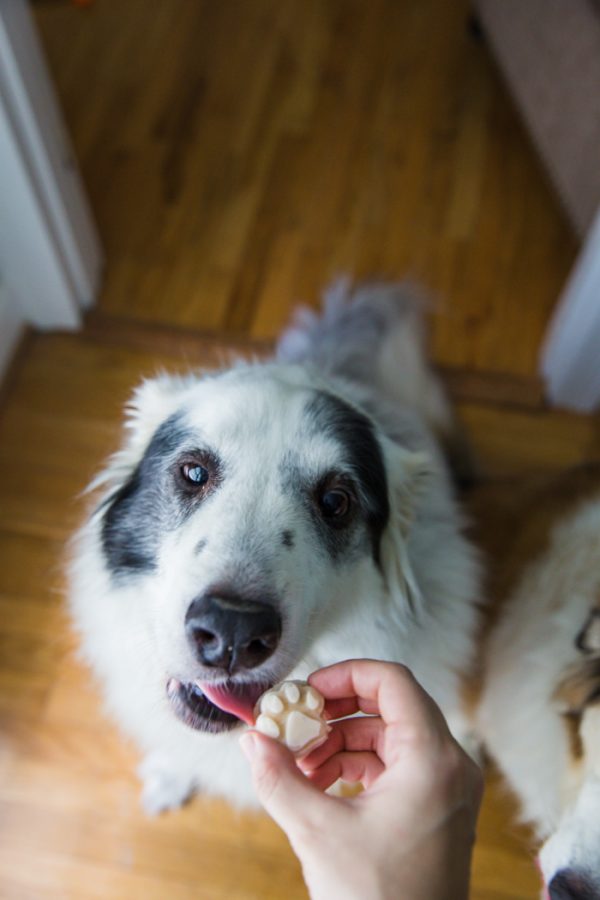 can dogs eat ice cream uk