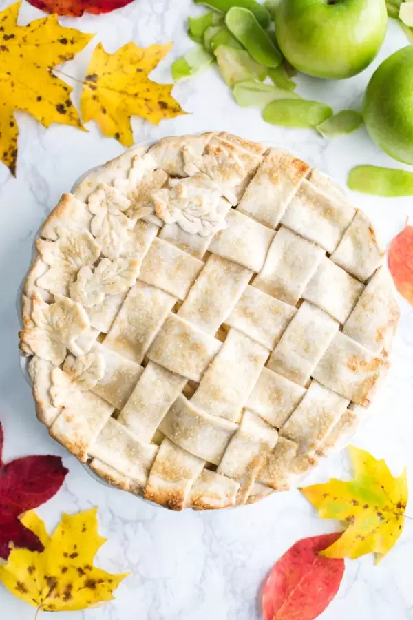 Vegan Apple Pie- the crust is a coconut oil crust and the filling is simple, sweet, and DELICIOUS!!