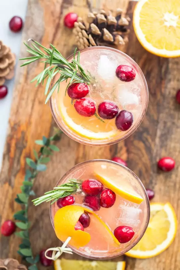 Orange Cranberry Gin and Tonic