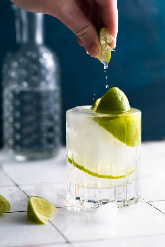 Gin and Tonic Recipe Food with Feeling