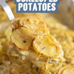 vegan scalloped potatoes