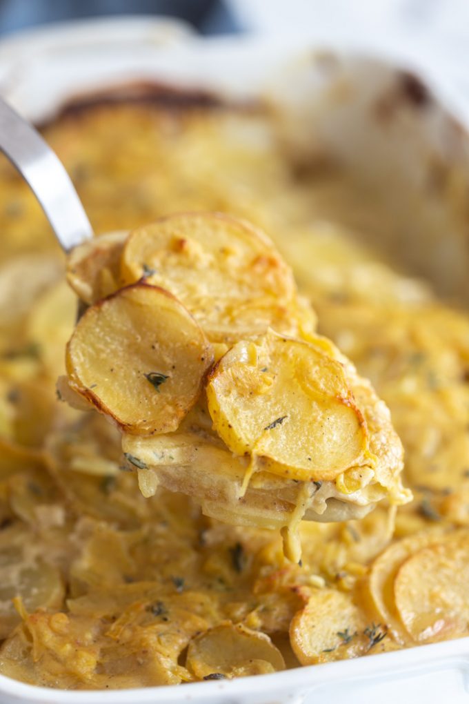 scoop being taken out of the pan of golden scalloped potatoes topped with fresh herbs