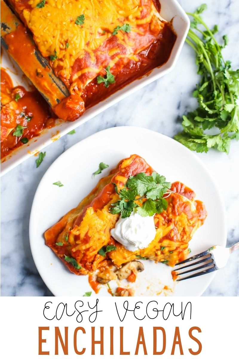 Veggie Vegan Enchiladas Food with Feeling