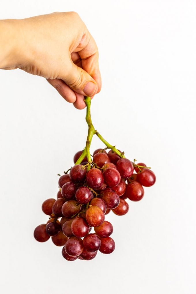 mujer blanca mano que sostiene un racimo de uvas rojas sobre un fondo blanco