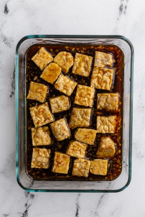 Tempeh Marinade Food with Feeling