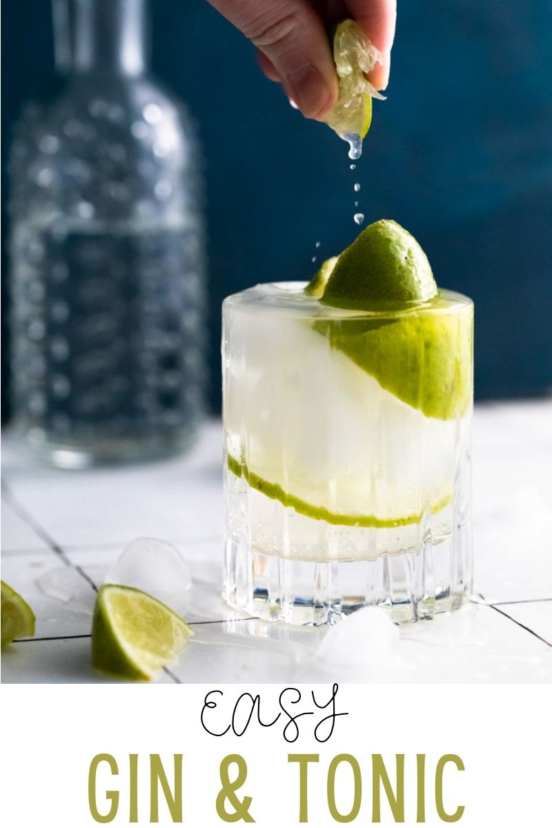 Gin and Tonic Recipe Food with Feeling