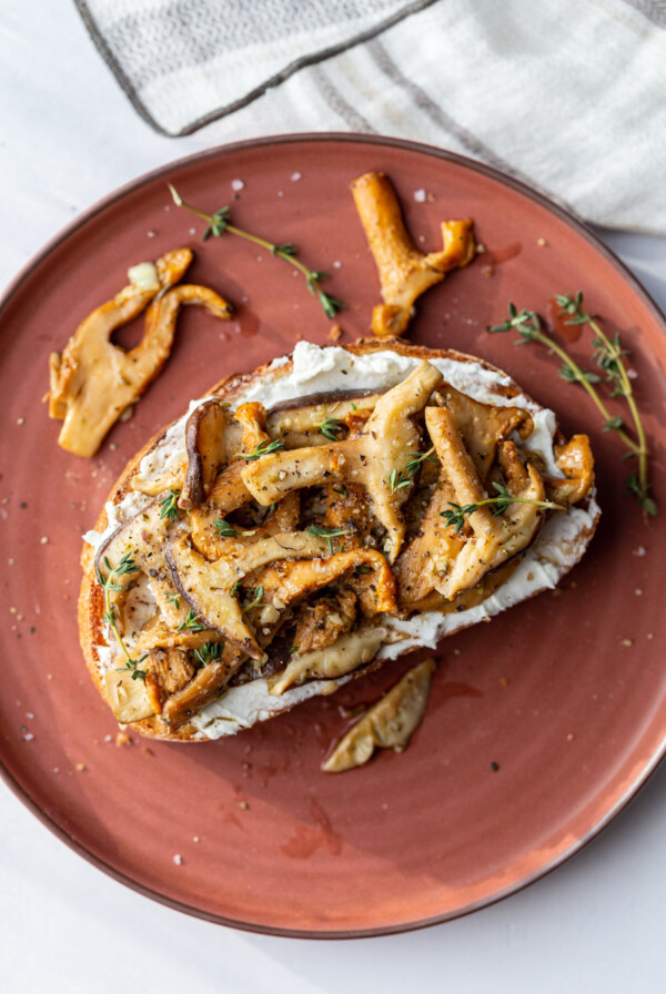 dark red plate with toast on top. Toast has goat cheese and sautéed mushrooms on top with fresh herbs