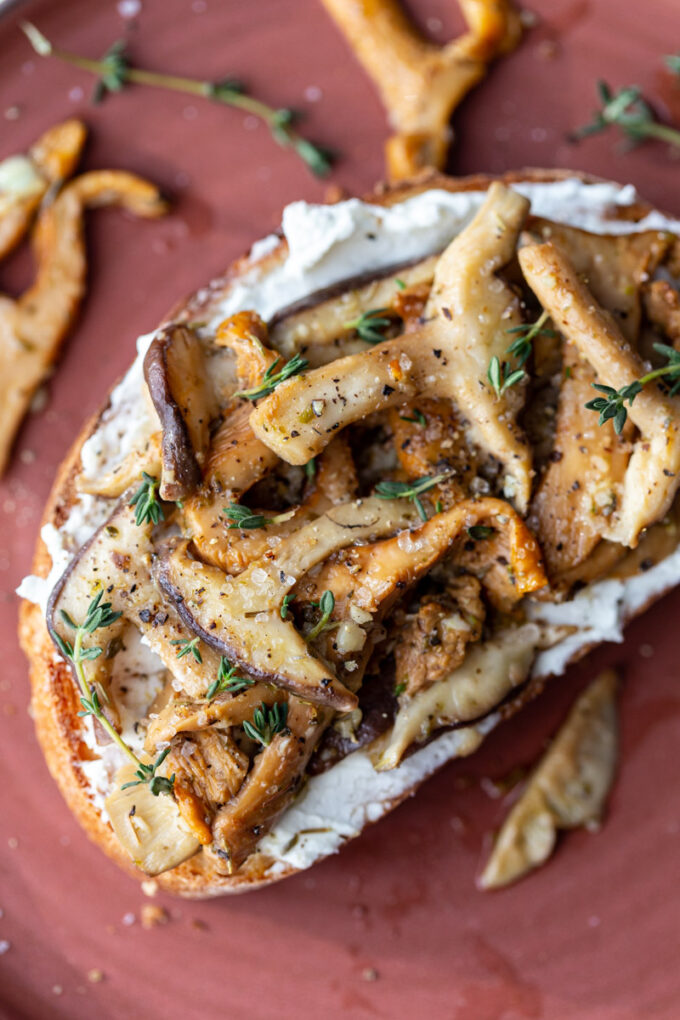 dark red plate with toast on top. Toast has goat cheese and sautéed mushrooms on top with fresh herbs