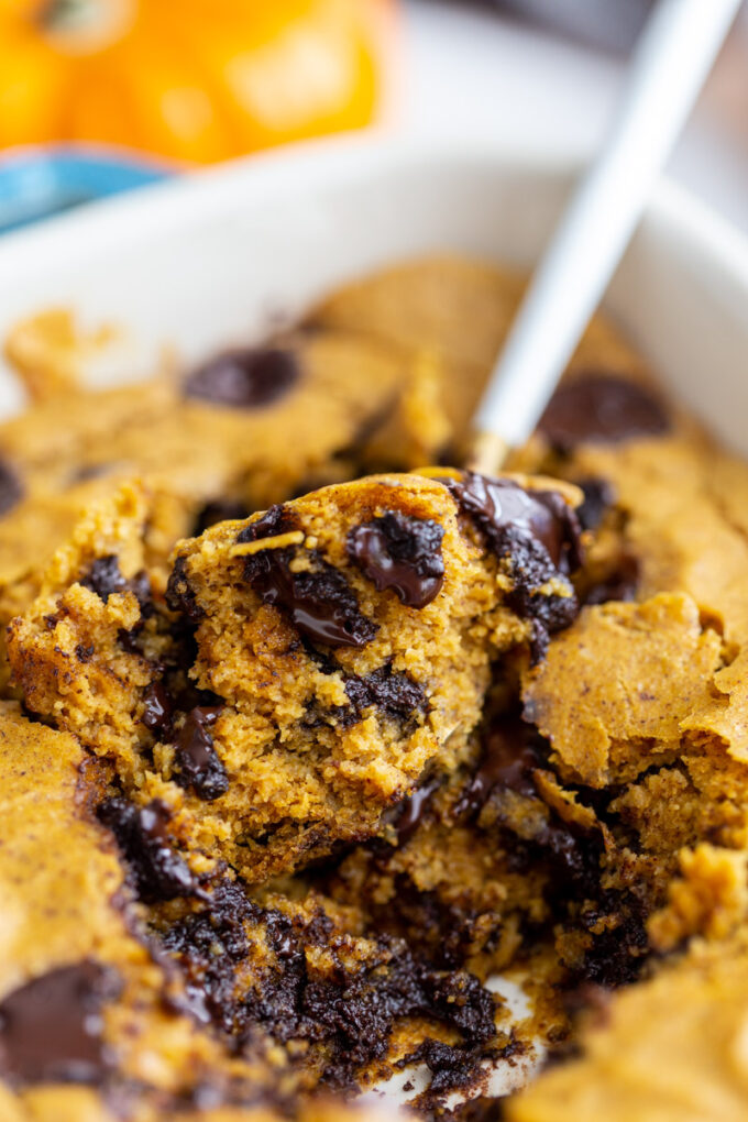 pumpkin baked oatmeal with chocolate chunks. A spoonful coming out of the middle of the dish