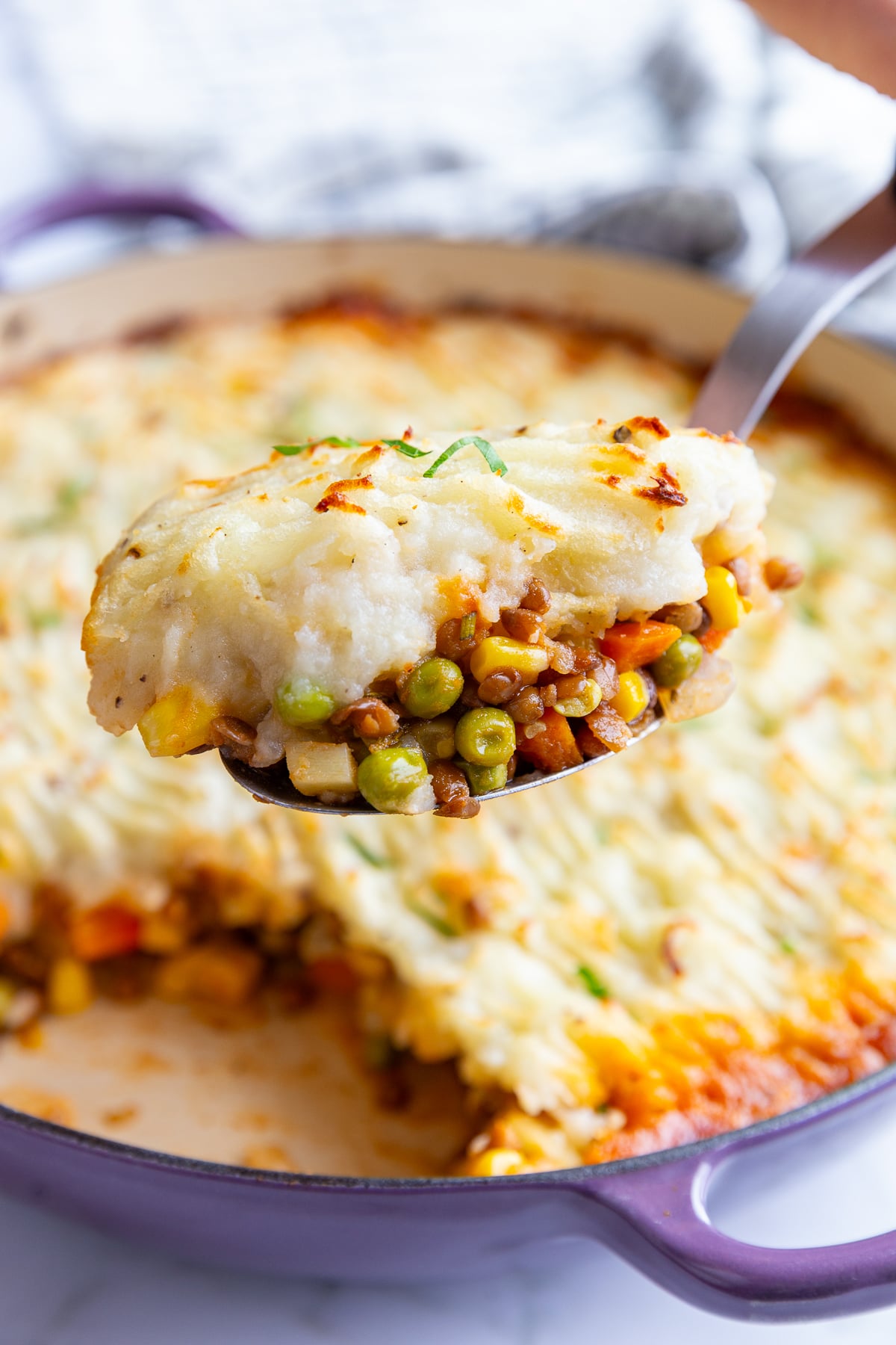 spoon pulling up a scoop of lentil shepherd's pie