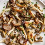 Sautéed oyster mushrooms on a white plate.