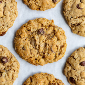 vegan oatmeal cookies lined up on a baking tray