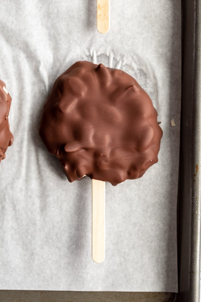 frozen yogurt chocolate bars on a stick