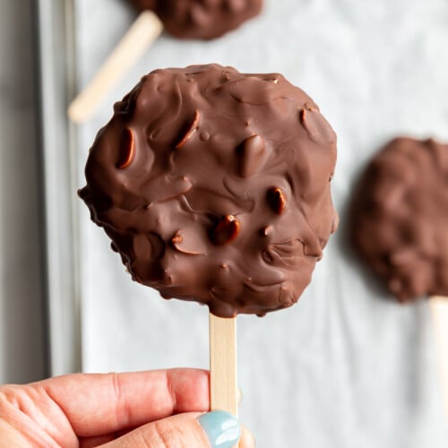 Frozen Yogurt Bars