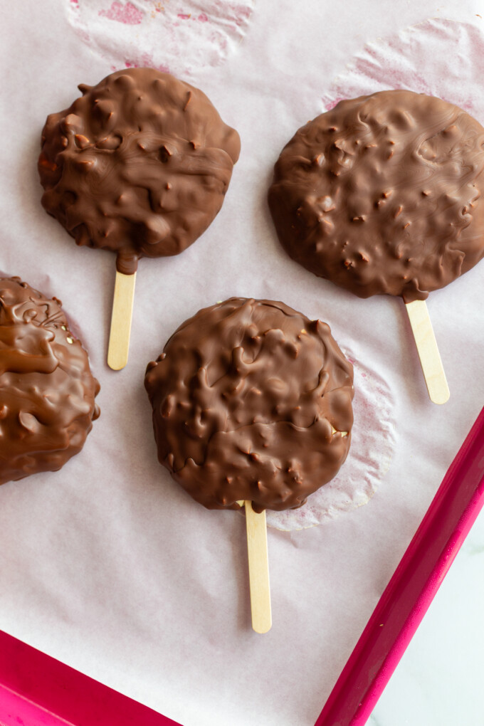 frozen yogurt chocolate bars on a stick