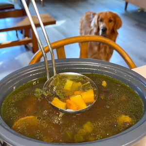 crockpot of dog bone broth with a ladle full being scooped out with a golden retriever in the background