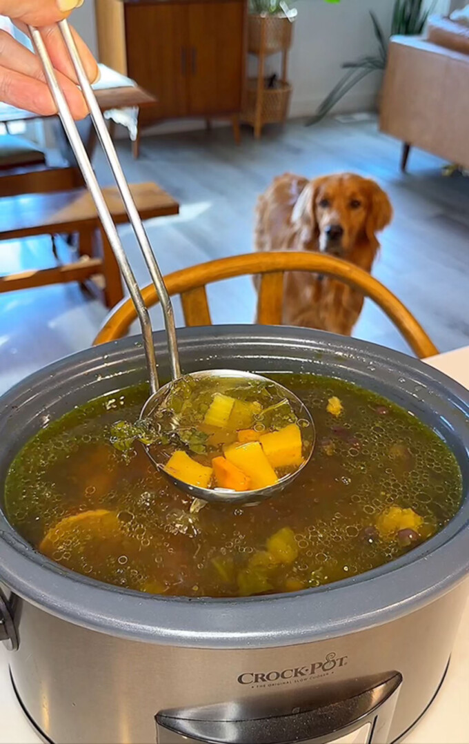 crockpot of dog bone broth with a ladle full being scooped out with a golden retriever in the background