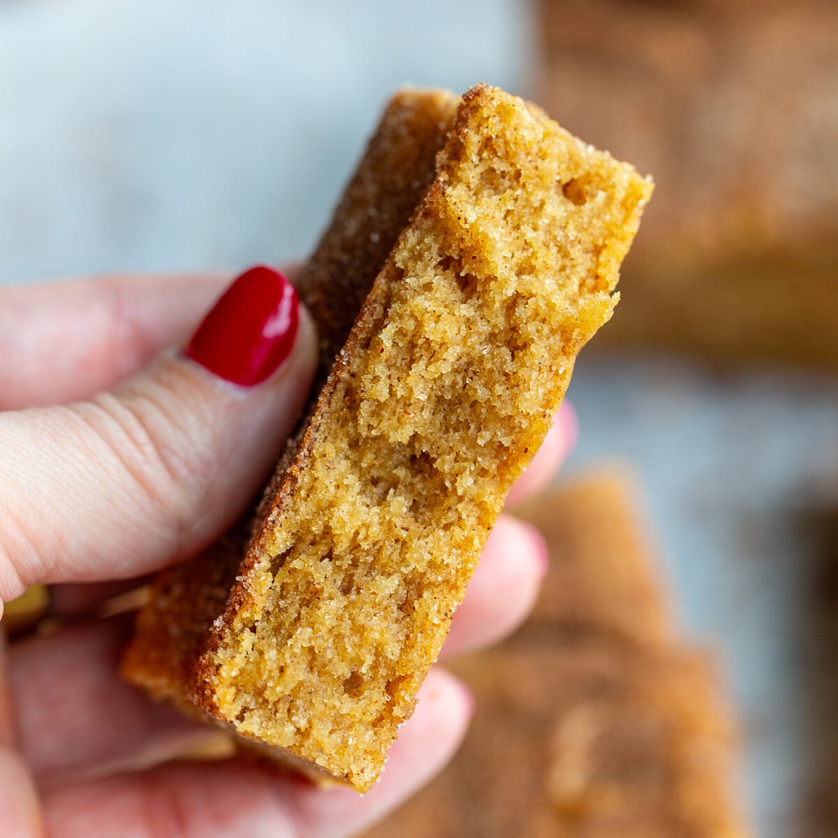 hand holding up a snickerdoodle blondie bar that has been torn in half to see the texture of the inside
