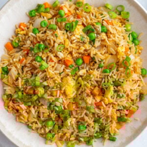 vegetarian fried rice in a large white bowl