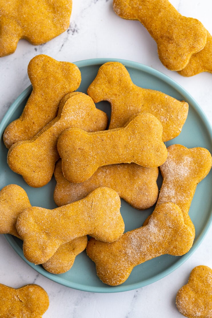 Pumpkin Dog Biscuits Recipe (Easy Homemade Treats)