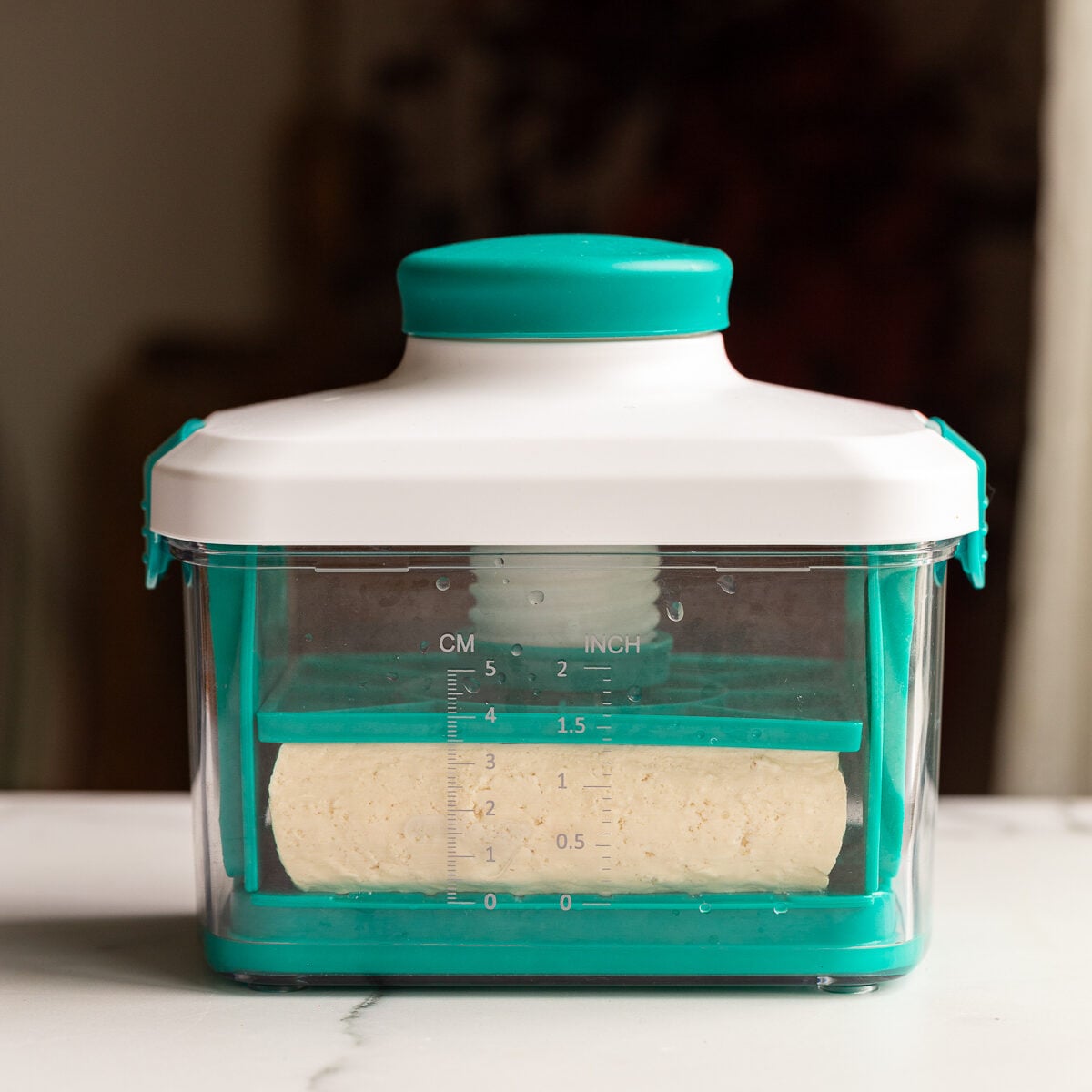 tofu in a tofu press