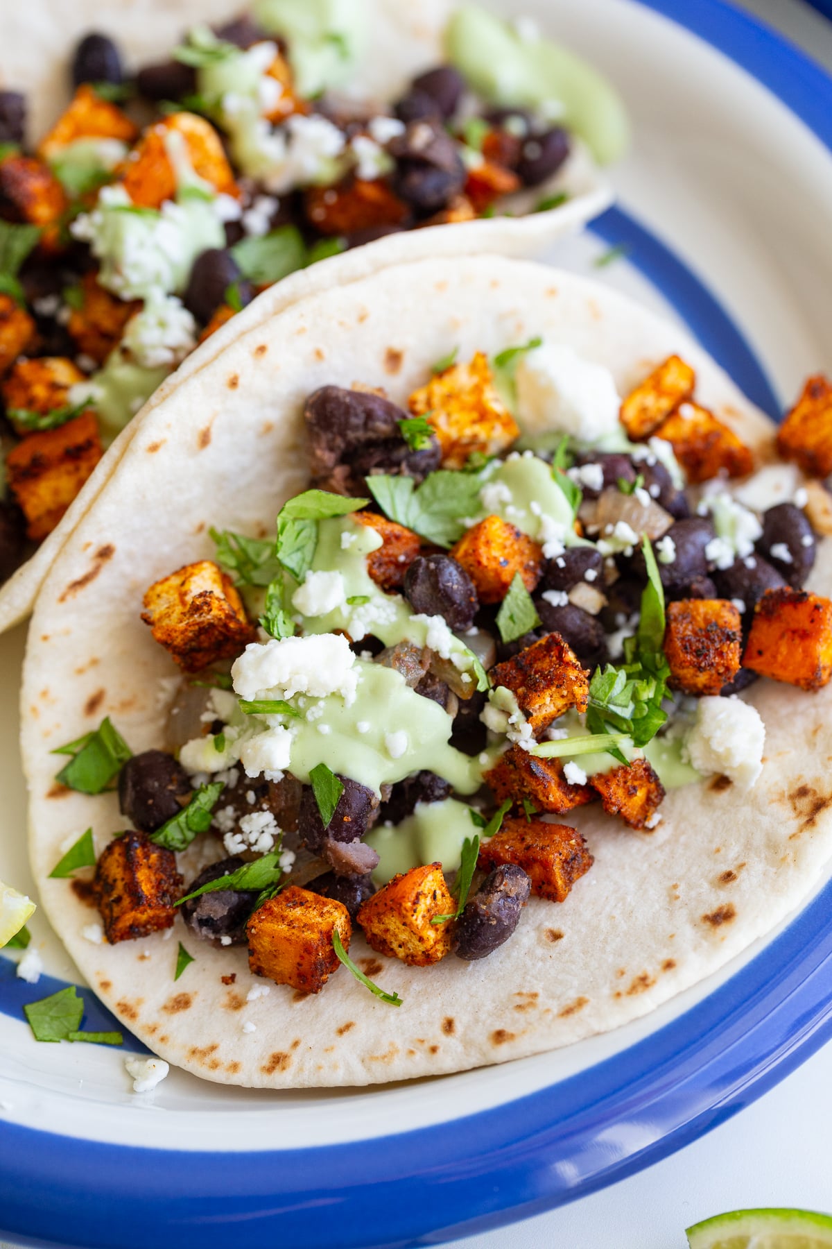 sweet potato and black bean tacos drizzled with an avocado crema. they're sitting on a white plate with royal blue rim