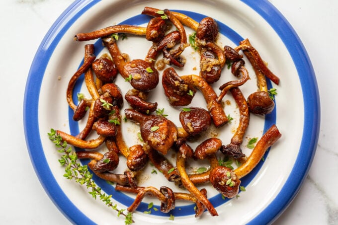 Sautéed chestnut mushrooms with golden-brown caramelization arranged on a blue-rimmed plate with fresh thyme