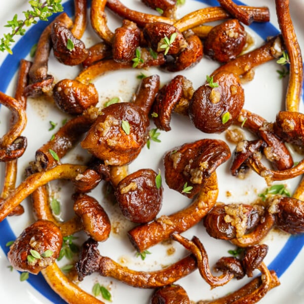 Close overhead shot of garlic butter chestnut mushrooms garnished with thyme leaves on a blue-rimmed plate