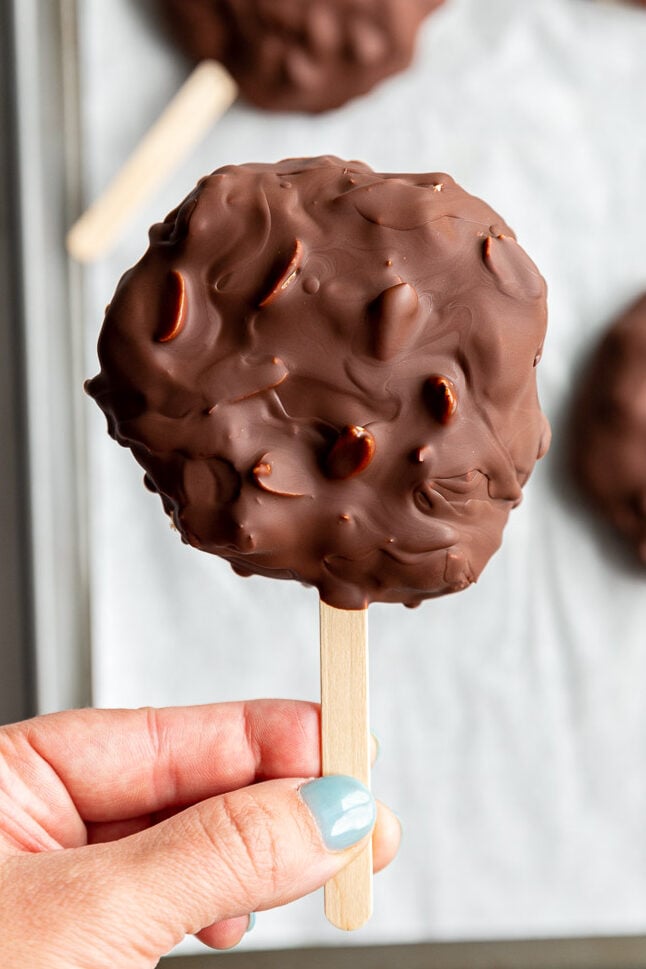 frozen yogurt chocolate bars on a stick
