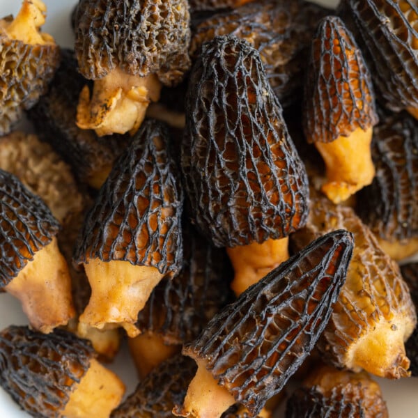 raw morel mushrooms stacked in a bowl