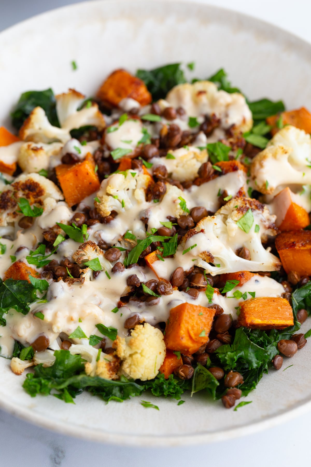 Roasted Sweet Potato lentil bowls in a large bowl drizzled with a dijon dressing